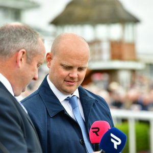 York | Dante Festival | 15,16/5/25