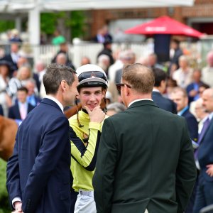 York | Dante Festival | 15,16/5/25