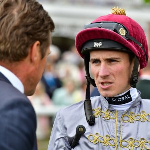 York | Dante Festival | 15,16/5/25