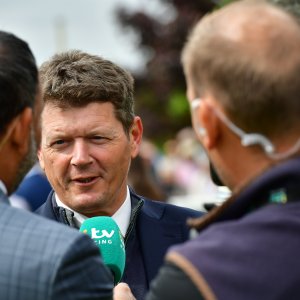 York | Dante Festival | 15,16/5/25