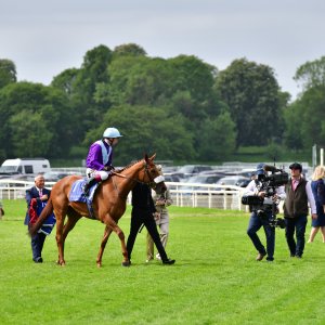 York | Dante Festival | 15,16/5/25