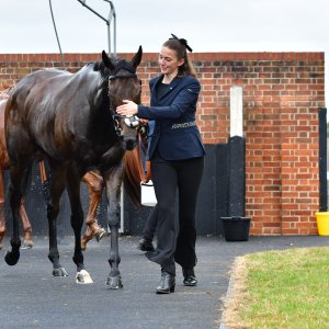 York | Dante Festival | 15,16/5/25
