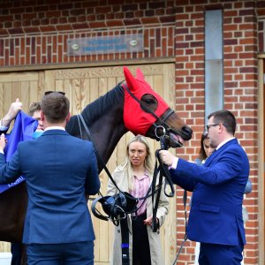 York | Dante Festival | 15,16/5/25