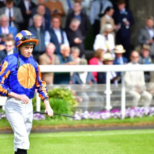 York | Dante Festival | 15,16/5/25