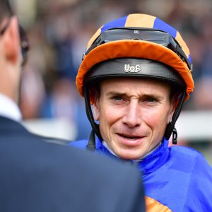 York | Dante Festival | 15,16/5/25