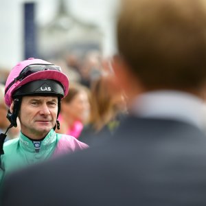 York | Dante Festival | 15,16/5/25