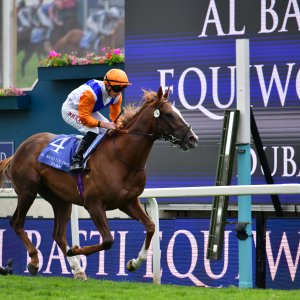 York | Dante Festival | 15,16/5/25