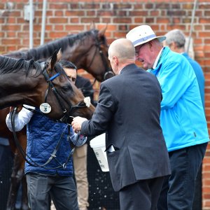 York | Dante Festival | 15,16/5/25