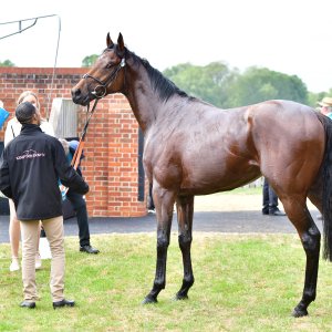 York | Dante Festival | 15,16/5/25