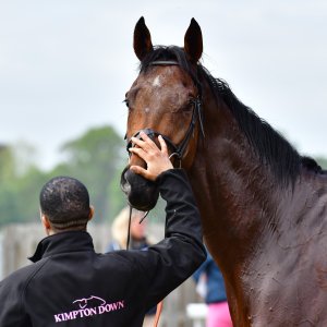 York | Dante Festival | 15,16/5/25