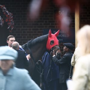 York | Dante Festival | 14/5/26