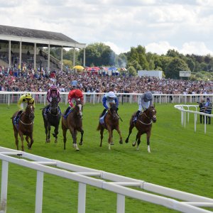 York | Ebor Festival | 26/8/23