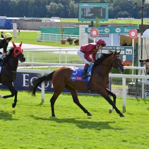 York | Ebor Festival | 26/8/23