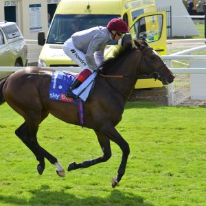 York | Ebor Festival | 26/8/23