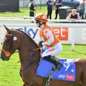 York | Ebor Festival | 26/8/23