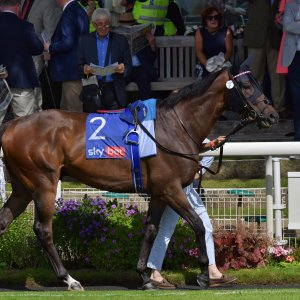 York | Ebor Festival | 26/8/23