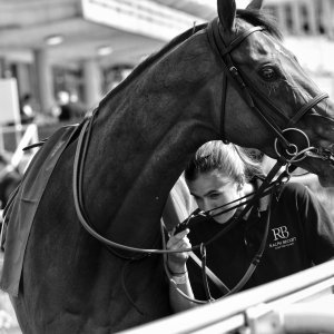 York | Ebor Festival | 26/8/23