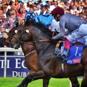 York | Ebor Festival | 26/8/23