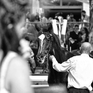 York | Ebor Festival | 26/8/23