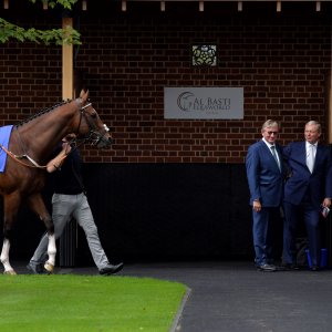 York | Ebor Festival | 26/8/23