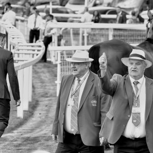 York | Ebor Festival | 26/8/23