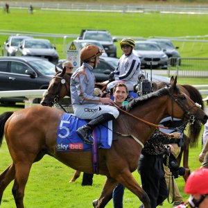 York | Ebor Festival | 26/8/23