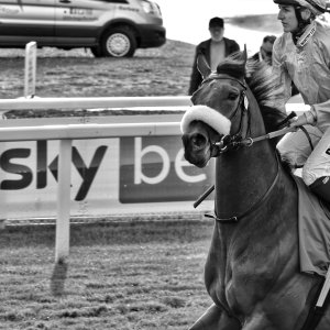 York | Ebor Festival | 26/8/23