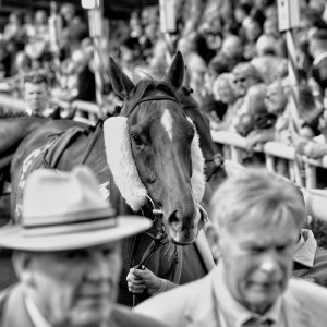 York | Ebor Festival | 26/8/23