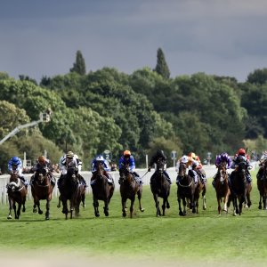 York | Ebor Festival | 26/8/23