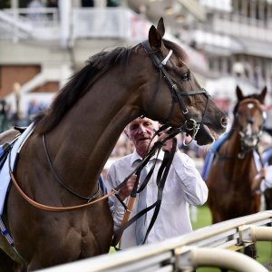 York | Ebor Festival | 26/8/23