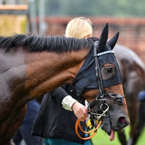 York | 65th John Smith's Cup | 13/7/24