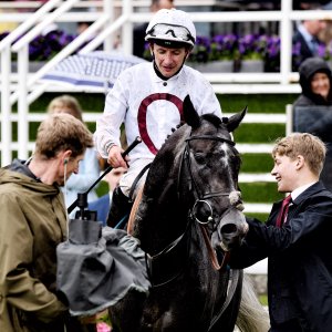 York | 65th John Smith's Cup | 13/7/24