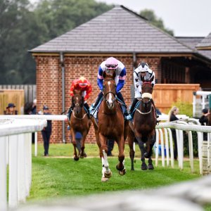 York | 65th John Smith's Cup | 13/7/24