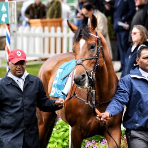 York | 65th John Smith's Cup | 13/7/24