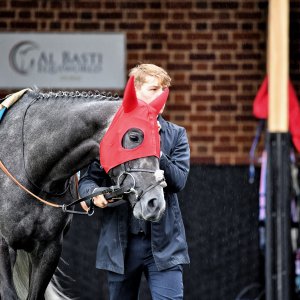 York | 65th John Smith's Cup | 13/7/24
