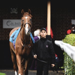 York | 65th John Smith's Cup | 13/7/24