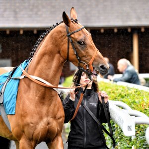 York | 65th John Smith's Cup | 13/7/24