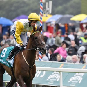 York | 65th John Smith's Cup | 13/7/24