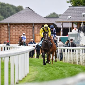 York | 65th John Smith's Cup | 13/7/24