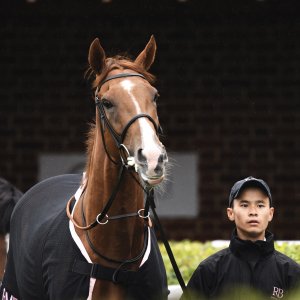 York | 65th John Smith's Cup | 13/7/24