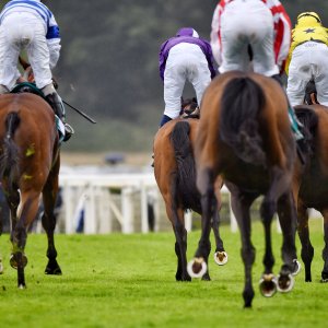 York | 65th John Smith's Cup | 13/7/24