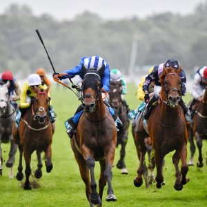 York | 65th John Smith's Cup | 13/7/24