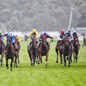 York | 65th John Smith's Cup | 13/7/24