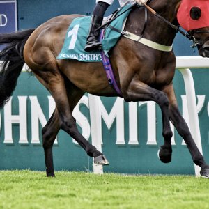 York | 65th John Smith's Cup | 13/7/24