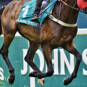 York | 65th John Smith's Cup | 13/7/24