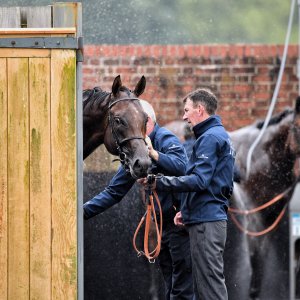 York | 65th John Smith's Cup | 13/7/24