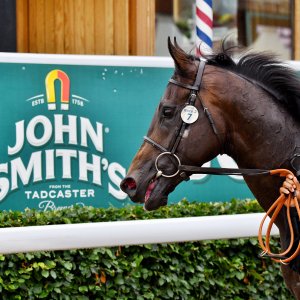 York | 65th John Smith's Cup | 13/7/24