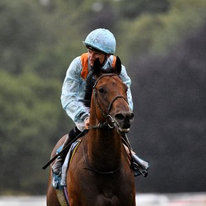 York | 65th John Smith's Cup | 13/7/24