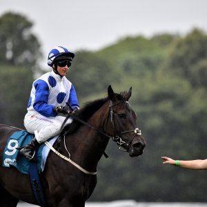 York | 65th John Smith's Cup | 13/7/24