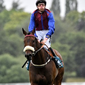 York | 65th John Smith's Cup | 13/7/24